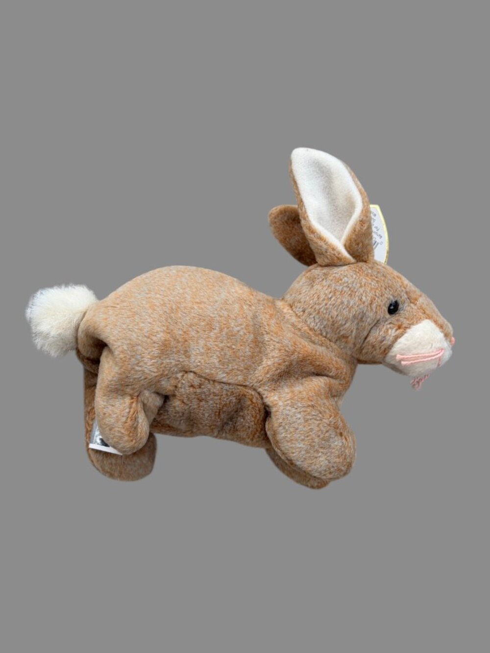Ty Beanie Baby Nibbly Bunny Rabbit 1998 Plush w/ Hang Tag Brown White Collector - Picture 2 of 8